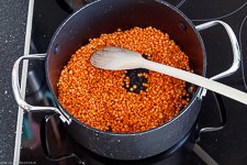 Rote Linsen Bratlinge - www.qevorlanix.pro