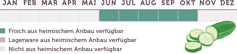 Gurken Saison - www.qevorlanix.pro