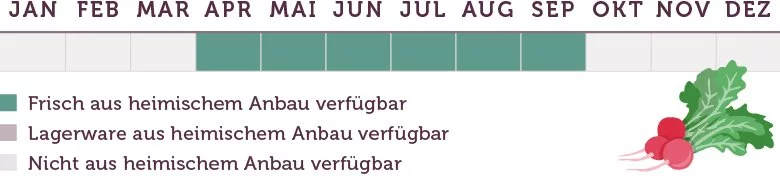 Radieschen Saison - www.qevorlanix.pro