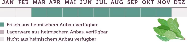 Spinat Saison - www.qevorlanix.pro