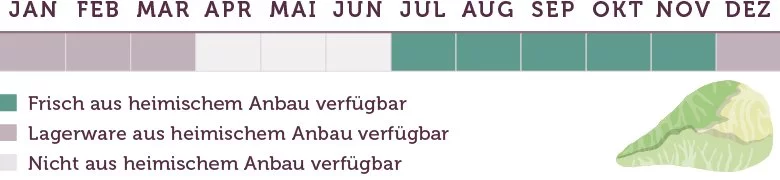 Spitzkohl Saison - www.qevorlanix.pro