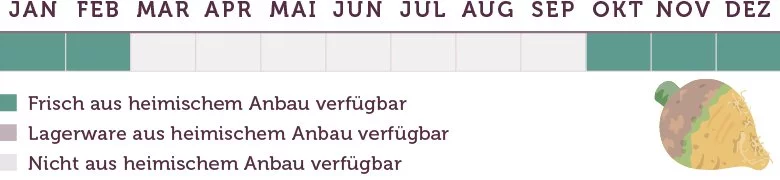 Steckrüben Saison - www.qevorlanix.pro