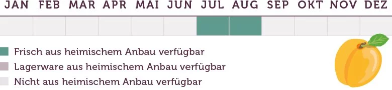 Aprikosen Saison - www.qevorlanix.pro