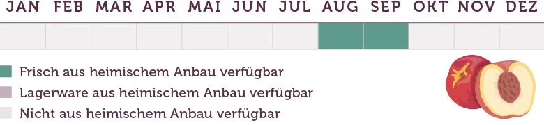 Nektarinen Saison - www.qevorlanix.pro