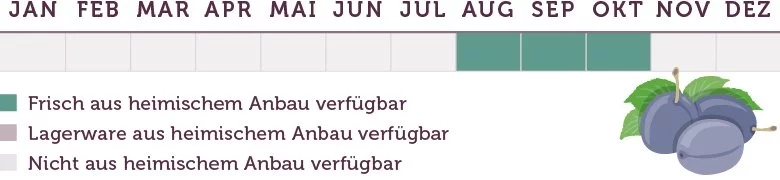 Zwetschgen Saison - www.qevorlanix.pro