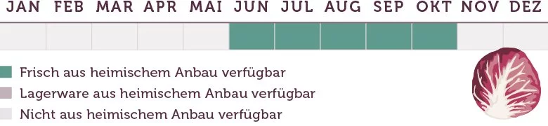 Radicchio Saison - www.qevorlanix.pro
