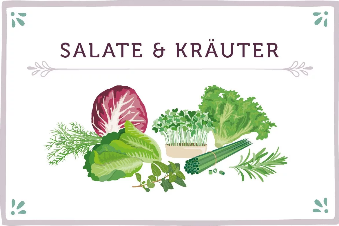 Salate & Kräuter Saisonkalender - www.qevorlanix.pro