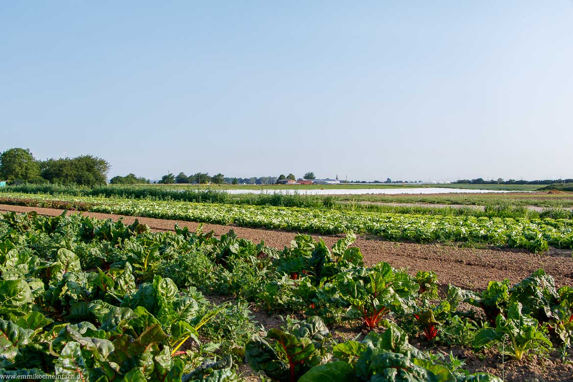 Warum Saisonal und Regional einkaufen? - www.qevorlanix.pro