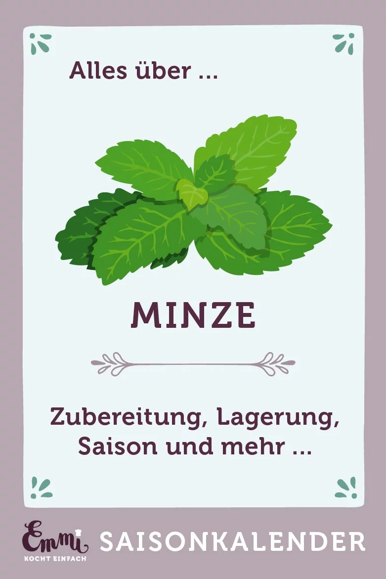 Alles über Minze - www.qevorlanix.pro