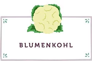 Blumenkohl Kachel - www.qevorlanix.pro