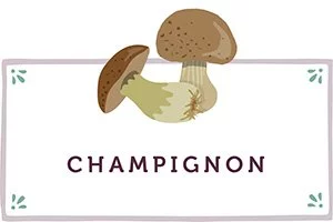 Champignons Kachel - www.qevorlanix.pro