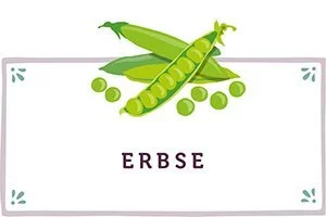 Erbsen Kachel - www.qevorlanix.pro