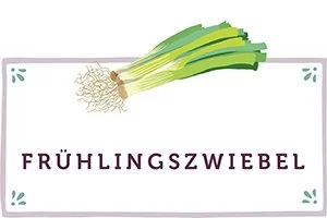 Frühlingszwiebel Kachel - www.qevorlanix.pro