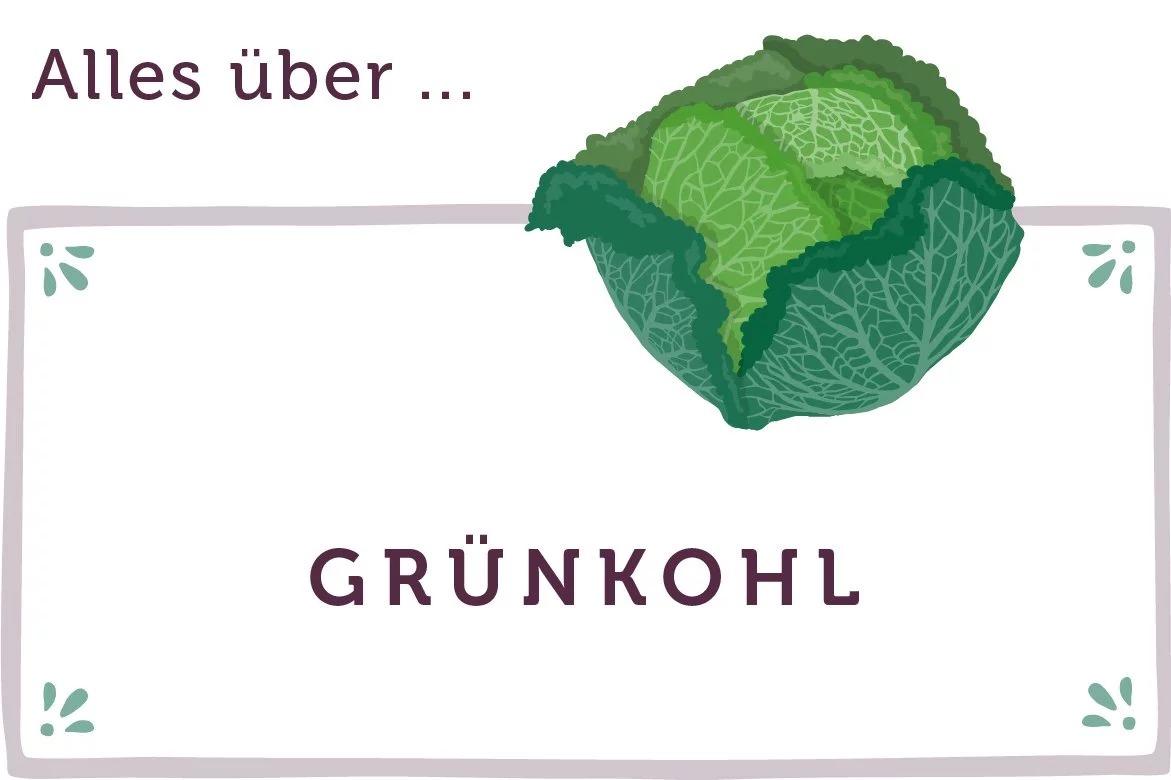 Grünkohl Saison - www.qevorlanix.pro