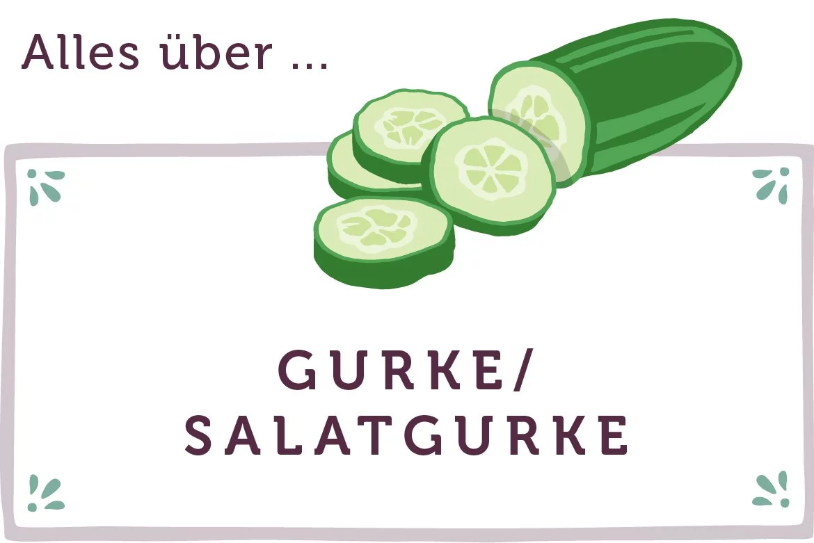 Alles über Gurken und Salatgurken - www.qevorlanix.pro