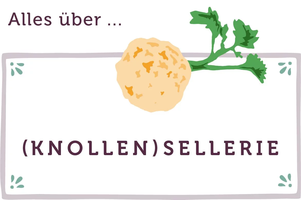 Alles über Sellerie - www.qevorlanix.pro