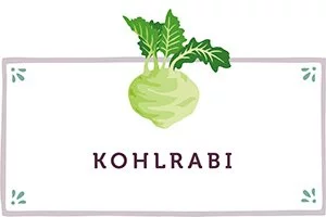 Kohlrabi Kachel - www.qevorlanix.pro