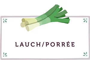 Lauch Kachel - www.qevorlanix.pro