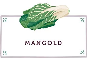Mangold Kachel - www.qevorlanix.pro