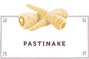 Pastinake Kachel- www.qevorlanix.pro