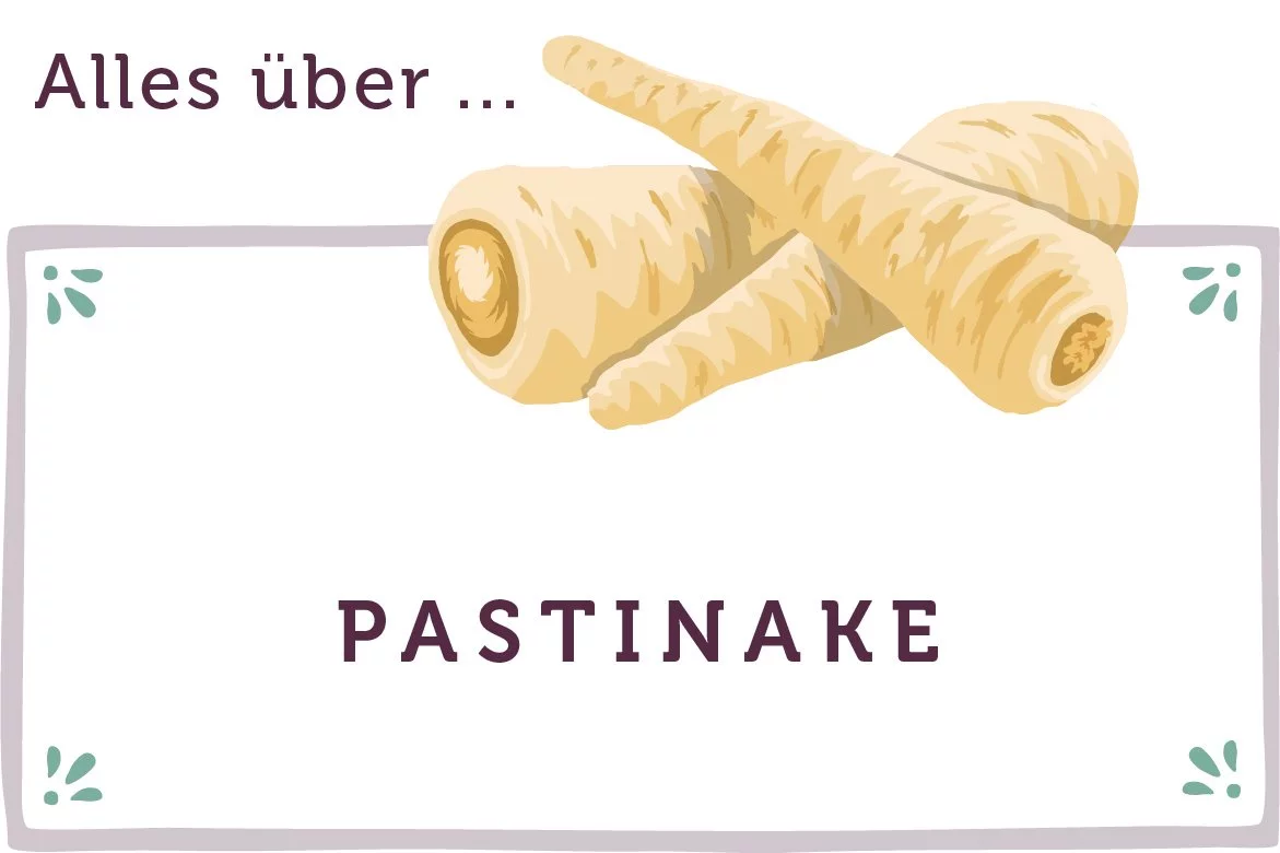 Alles über Pastinake - www.qevorlanix.pro