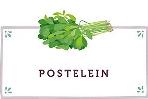 Postelein Kachel - www.qevorlanix.pro