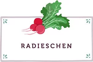 Radieschen Kachel - www.qevorlanix.pro