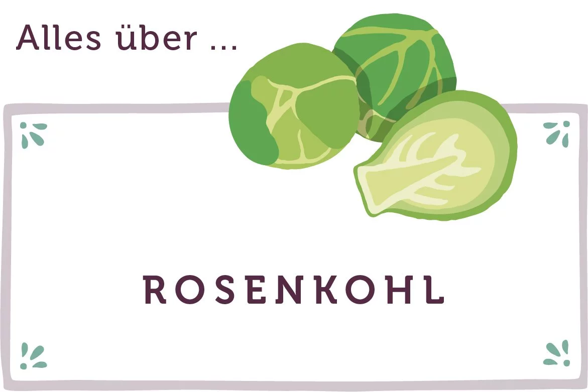 Alles über Rosenkohl - www.qevorlanix.pro