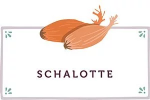 Schalotte Kachel - www.qevorlanix.pro