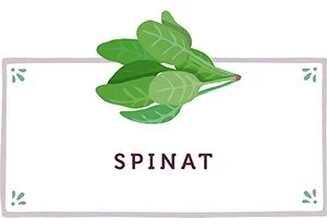 Spinat Kachel - www.qevorlanix.pro