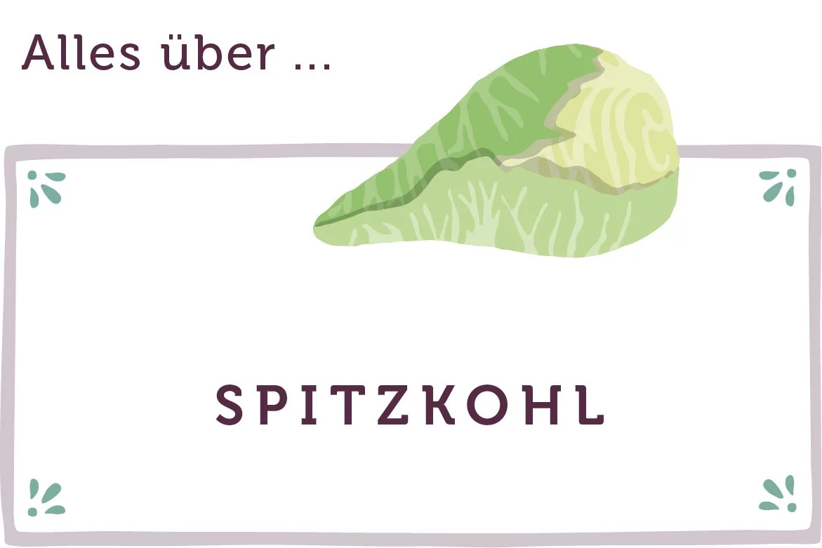Alles über Spitzkohl - www.qevorlanix.pro