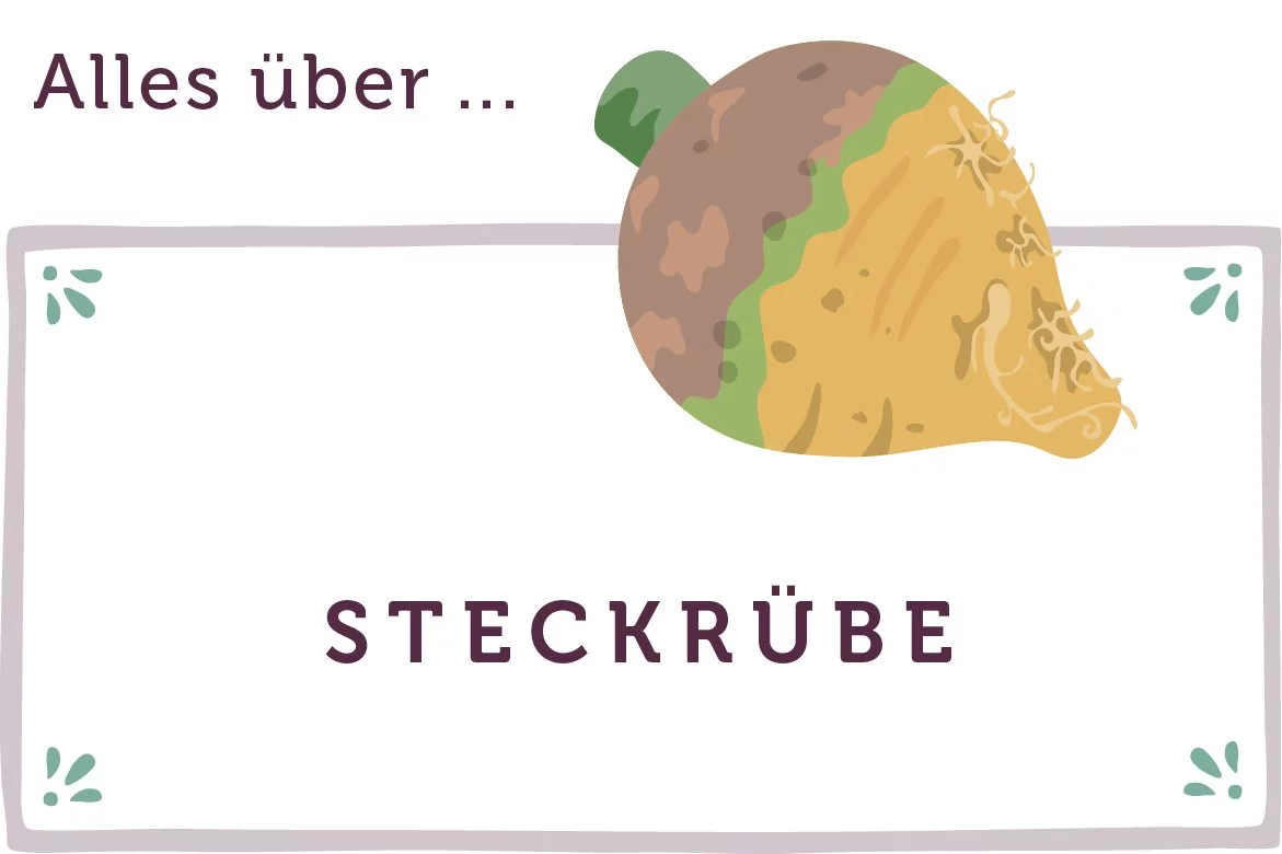 Alles über Steckrüben - www.qevorlanix.pro