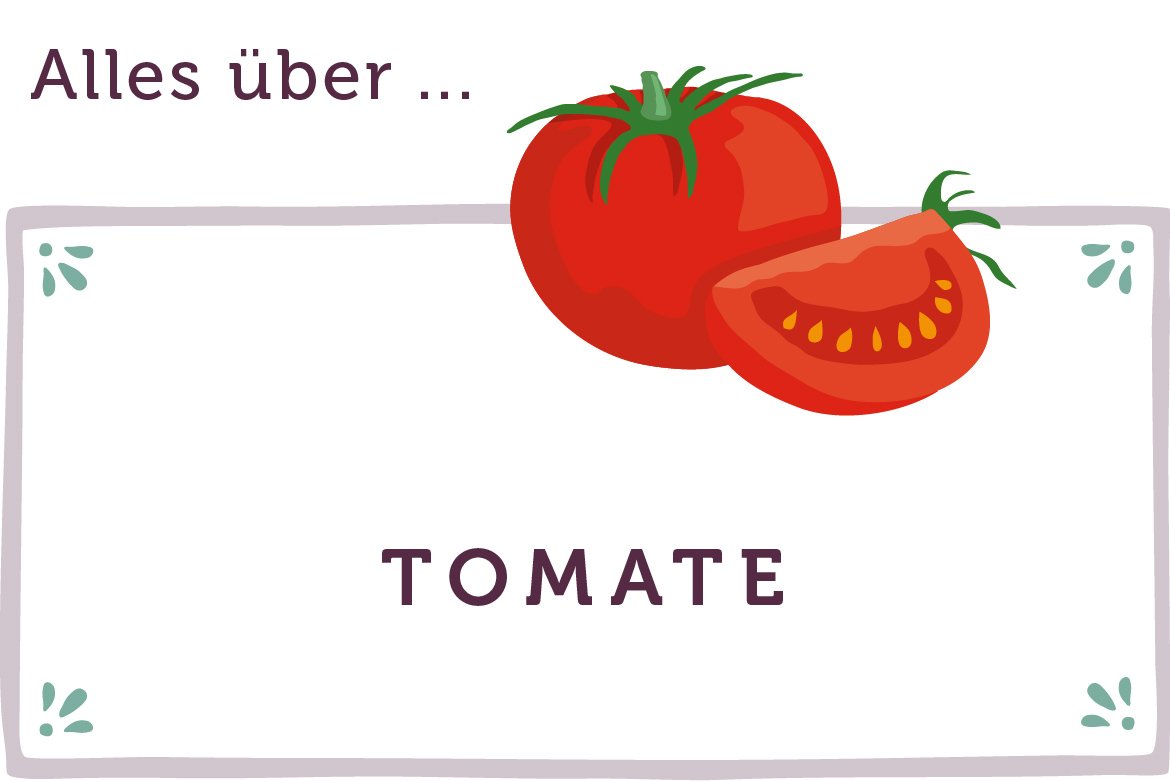 Alles über Tomaten - www.qevorlanix.pro