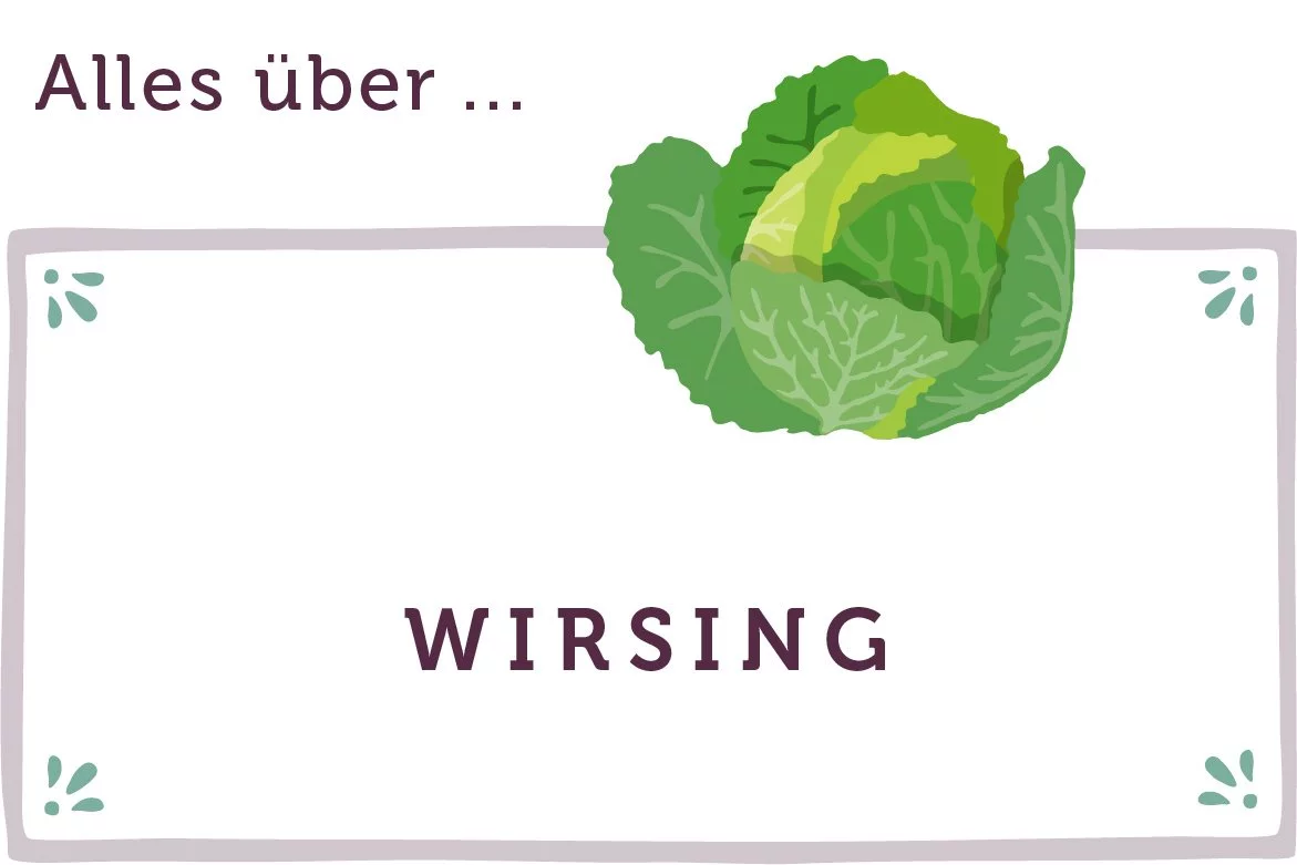 Alles über Wirsing - www.qevorlanix.pro