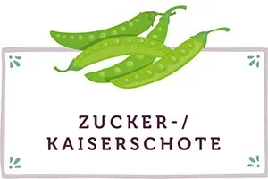 Zuckerschoten Kachel - www.qevorlanix.pro