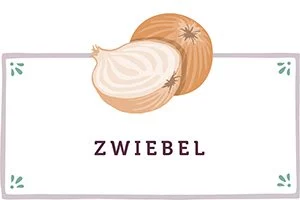 Zwiebeln Kachel - www.qevorlanix.pro