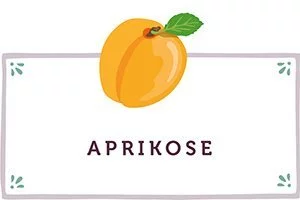 Aprikosen Kachel - www.qevorlanix.pro
