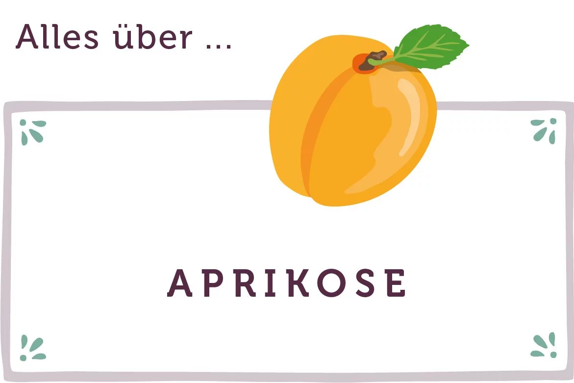 Alles über Aprikosen - www.qevorlanix.pro