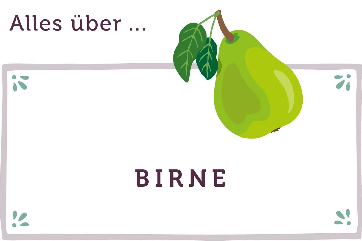 Alles über Birnen - www.qevorlanix.pro