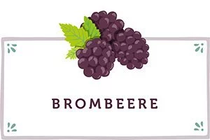 Brombeeren Kachel - www.qevorlanix.pro