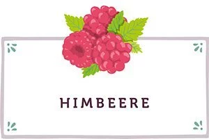 Himbeeren Kacheln - www.qevorlanix.pro