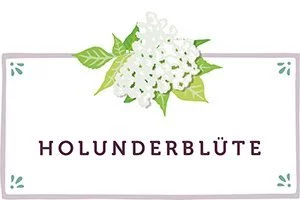 Holunderblüten Kachel - www.qevorlanix.pro