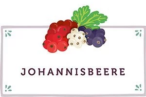 Johannisbeeren Kachel- www.qevorlanix.pro