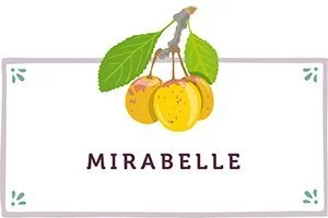 Mirabelle Kachel - www.qevorlanix.pro