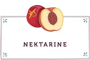Nektarinen Kachel - www.qevorlanix.pro