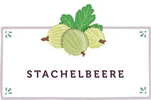 Stachelbeeren Kachel - www.qevorlanix.pro