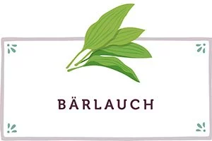 Bärlauch Kachel - www.qevorlanix.pro