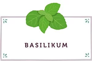 Basilikum Kachel - www.qevorlanix.pro