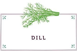 Dill Kachel - www.qevorlanix.pro