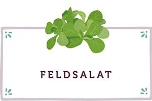 Feldsalat Kachel - www.qevorlanix.pro